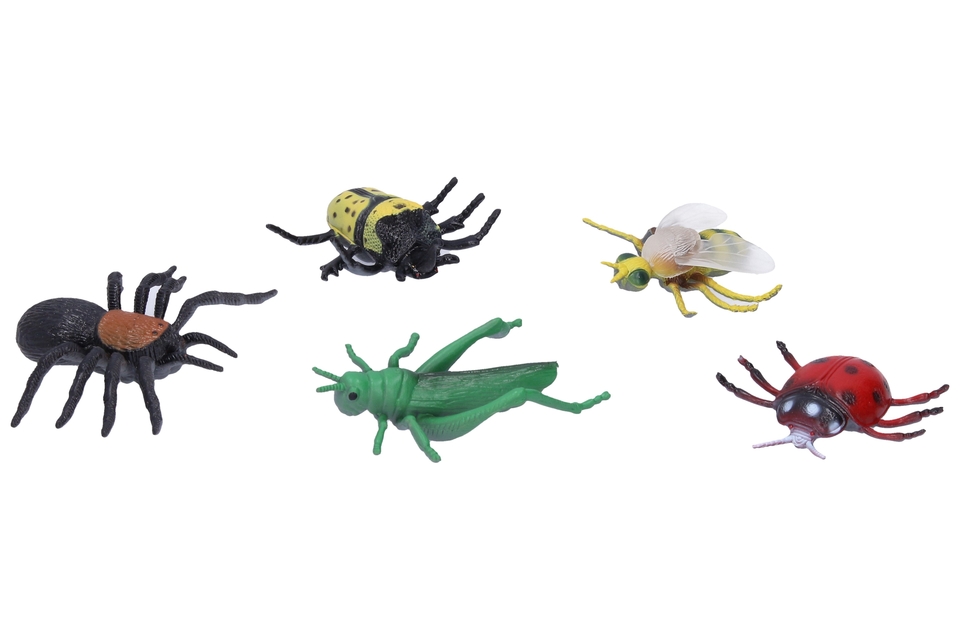 Különféle típusú rovarok