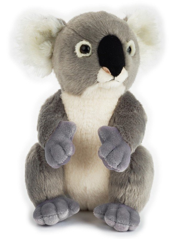 Plüss Koala 23cm National Geographic