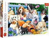 Találd meg a puzzle kutyákat az 1000 kertben
