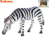 Zoolandia zebra/víziló 9,5-12 cm dobozban